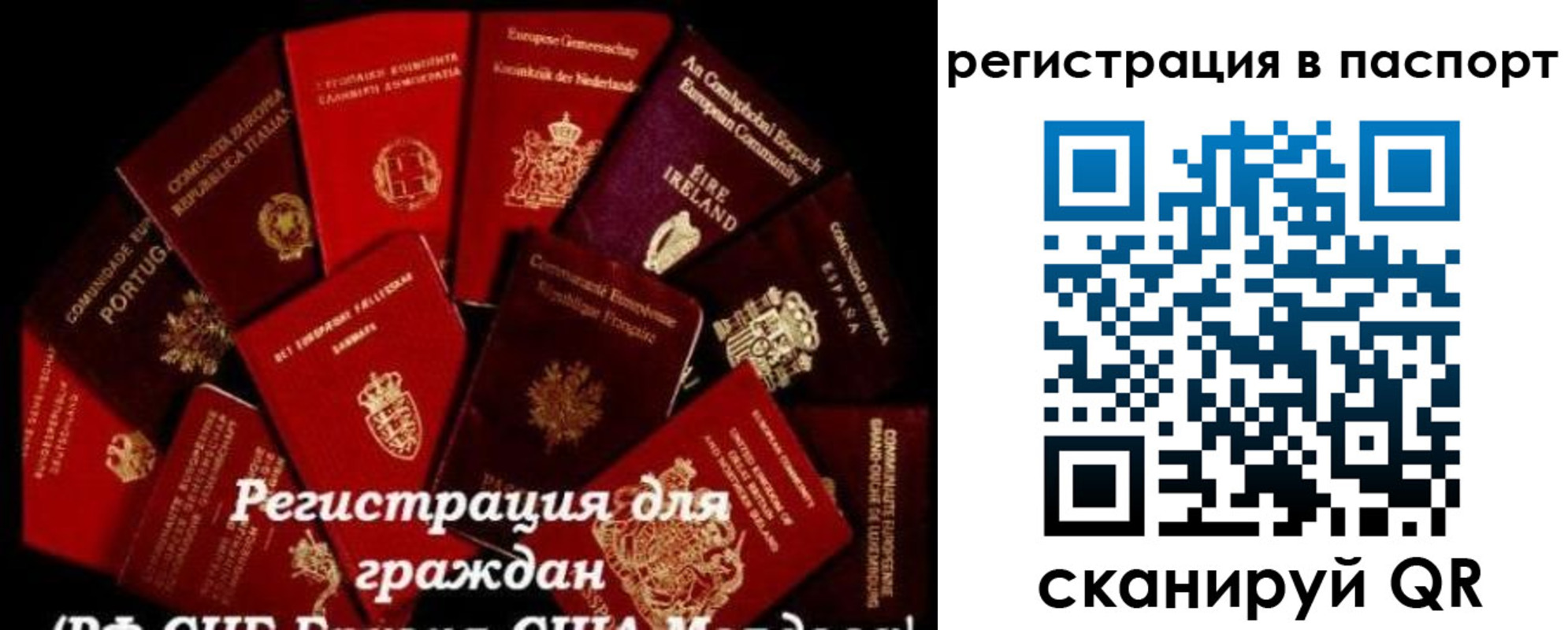 миграционный учет в Петропавловске-Камчатском